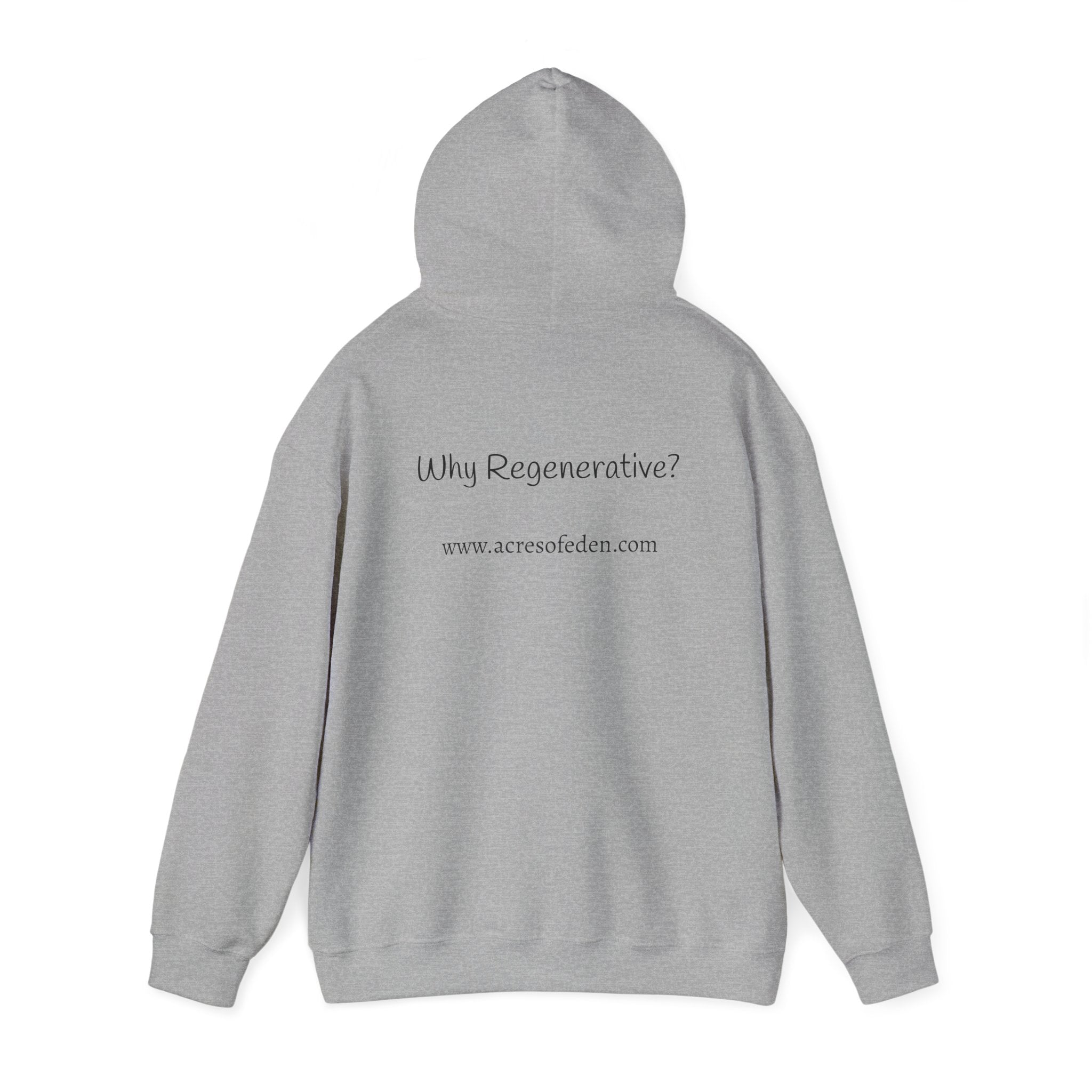 Chicken Hill Regenerative Hoodie